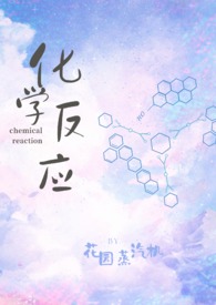 化学反应 小说